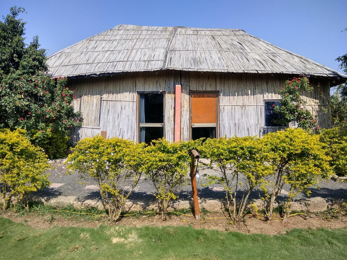 The Hillview Camp Resort Sasan Gir Exterior photo